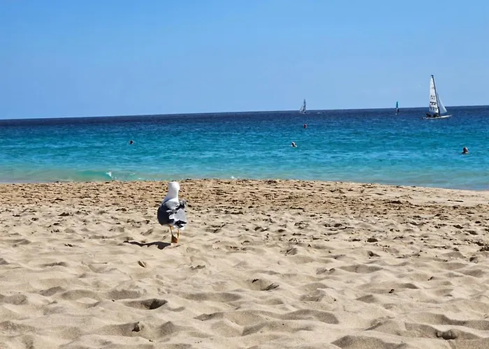 Caleta Ii Διαμέρισμα *